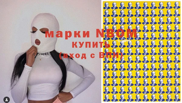 амф Козельск