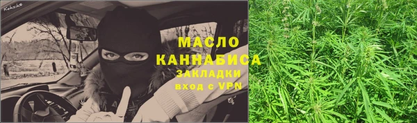 амф Козельск