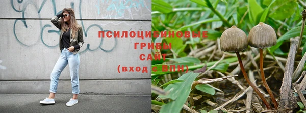 герыч Козловка