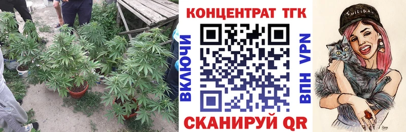 ТГК гашишное масло  Купить закладки  Гуково 