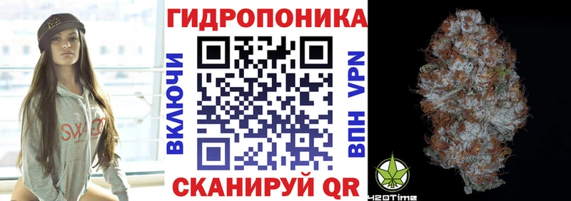 Купить где  Гуково  Бошки Шишки SATIVA & INDICA 